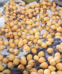 �Լҳ�̶��ɳ���ˣ����ҳ����͵� ��������״���ũҩ