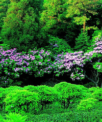 ���꿪��������������̨ɽ�����ž鵽����ѹ����ڣ���Ķ������ɫ