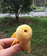 �Լҳ�̶��ɳ���ˣ����ҳ����͵� ��������״���ũҩ