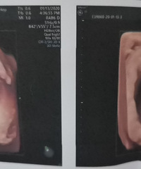 ��������Ĳ����׼�¼�������ռǡ�