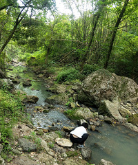 ��һ��ɽҰ����