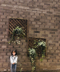 �Ƽ�����ȥ�����ֹ�䣬�ְ�ȫ�������һ·����ͣͣ���ܽ�ѹ