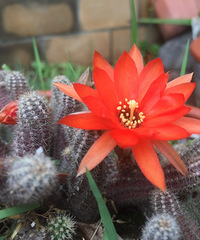 �ֿ���һ��