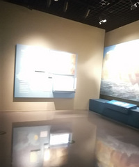 ������Ĳ���������壡��Ҷ�ȥ�����ˣ�