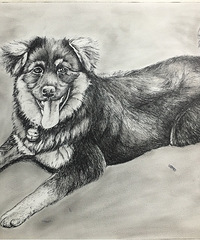 ����һ������Ȥ����ϵ