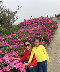 �����뷽ɽ�����ڸպ���ӳɽ�쿪�ŵ�ʱ��̫����