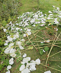 ���鿳ȥ��ʲô�ã���˵��ǰ��������������õ�