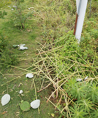 ���鿳ȥ��ʲô�ã���˵��ǰ��������������õ�