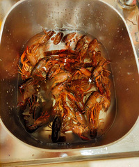 ����С��Ϻ����ϴˢ�Ǹ��󹤳�