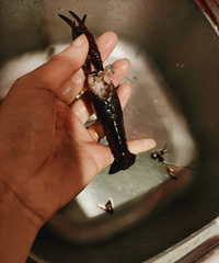 ����С��Ϻ����ϴˢ�Ǹ��󹤳�