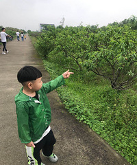 �������˻����٣���ժ��������ʱ�����޷ŷ衿