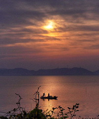 ��̹�죬��������ƣ��������ۣ�������ϼ���־�����������