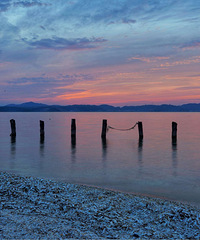 ��̹�죬��������ƣ��������ۣ�������ϼ���־�����������