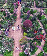 ��Ķõ��԰�������¼���������������¡���԰���ز�ס�ˣ�