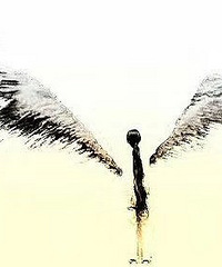 ���۸��᡿���ϲ���ļ���������Щ��