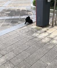 һֻ������С�ڹ�