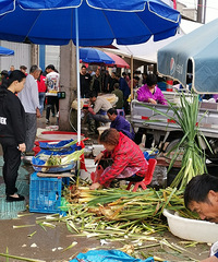 ����ʮ����һ���˵�����ֽ��׵ķ�����