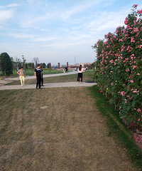 �λ��ʻ������沿�ֻ��л�