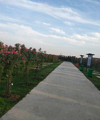 �λ��ʻ������沿�ֻ��л�