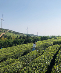 ���ʱ����ĺѩ���ټ�ʱ���ķ��ơ�