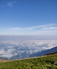 �����������ĸ�Сʱ�ǵĶ�����Ϊ�˿��ڶ�����ƺ�ֵ��