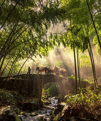 5�����ͽ��������4��С��ɽ��ŵ������������¸߶ȣ�