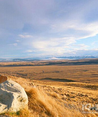 ���۸��᡿����һ�껨���ٷ�����������������أ�