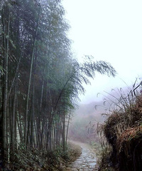 ���ϵ�ɽ������������֪�ľ����ؾ���ȥһ�ξ��Բ���