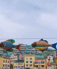 ̨��С�ڵ���|һ��Ҫȥһ�εļ�ɽ��