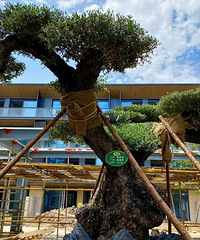 С��������͵�������ˣ���������������ֵ����Ǯ