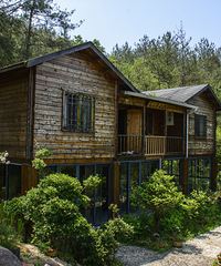 �����ž� ǧ��֮Լ