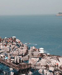 ��ˮ���þ�Ȼ�������ǣ����ݱ������������ɹ�������С��