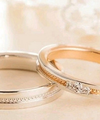 �ձ����ƻ�� I Primo �ò��ÿ���