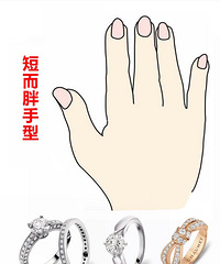 �ɻ����ˣ���θ�������ѡ�����