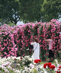 �ز�ס����̨�����ũ���¼������ɺ����������ޣ�