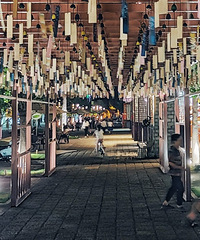 �ٺ�������ҹ��