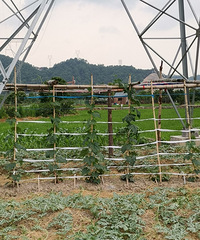 ˿�ϼܴ��ڸ�ѹ�����£���ȫ��