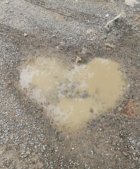 ���۸��᡿�������Сѧ�ļұȽϺã�