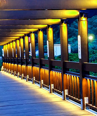 ���ٲ���԰ҹ��