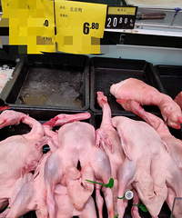 ����Ѽ��������45�죬�Ƿ����ÿ�ʼ����