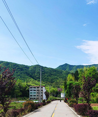 初夏骑去乐清的高塘吃枇杷