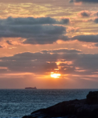 ���񵺵�ӫ�⺣�����������ˣ�