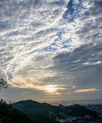 ����ɽ�ϰ���Ʈ��ԭ����������������