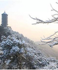 ·���Ϲ�԰����ʯ��˷�������˥