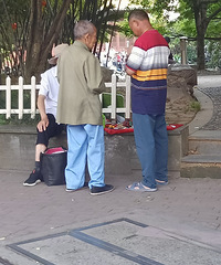 ����������һ����û��300