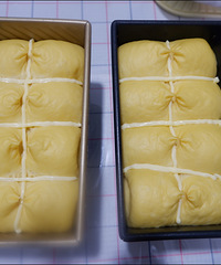 ����ŷ�޻ʹ���˾������������������