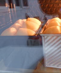 ����ŷ�޻ʹ���˾������������������