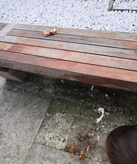 ��֪����Щ���ڼ���Ҳ�����Ҷ���������