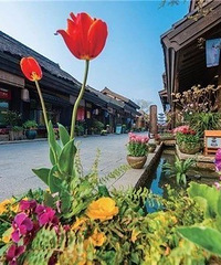 �ձ�ȥ���ˣ���������佭�ϵġ�С������