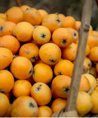 2020̨�����˲�ժ��ͼ��һ�����˲�ժ�������ʷ���